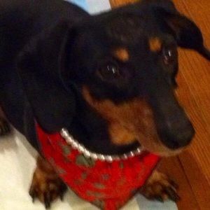 Meet your Posher, Rebecca